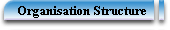 Organisation Structure